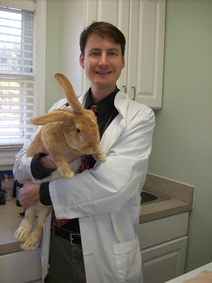 Doctor Steven Hornstein and a Flemish Giant rabbit at the Monroe Animal Hospital