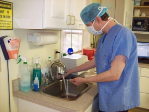 Dr. Hornstein scrubbing for surgery at the Monroe Animal Hospital